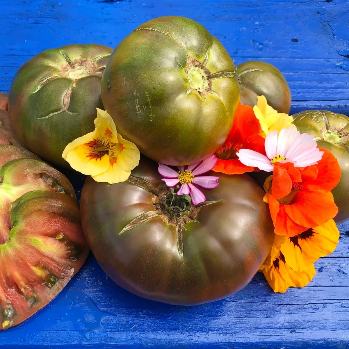 Томат ‘Owen’s Purple’ (Solanum lycopersicum)