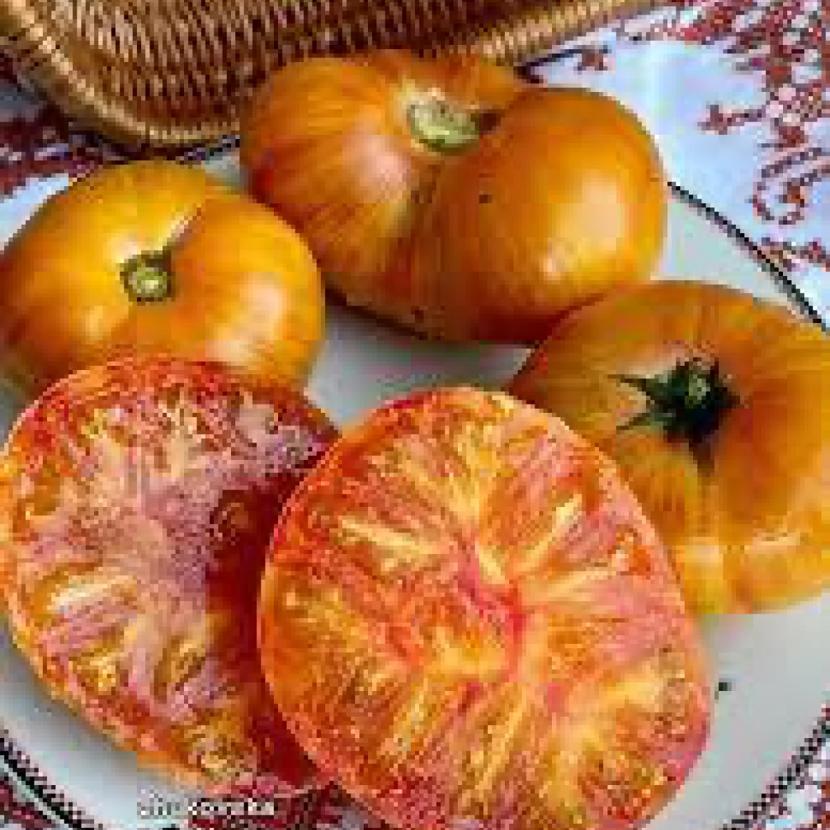 Томат ‘Sonyachnyi Ranok’ (Solanum lycopersicum)